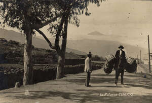 CAMINOS Y CARRETERAS DE TENERIFE II