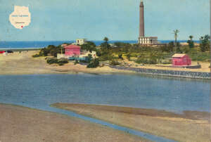 CHARCA Y FARO DE MASPALOMAS