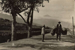 LA MATANZA DE ACENTEJO