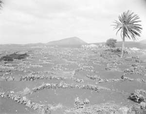 LANZAROTE