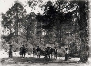 PUNTAGORDA